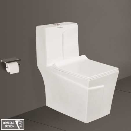 S Trap Western Commodes | Vardhman Ceramics