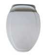 Belmonte Wall Hung Water Closet Cansil With Flush Valve & Soft Close Seat Cover - Ivory