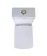 Combo of Belmonte Water Closet Square with Altis Pedestal Wash Basin - White