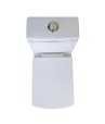 Combo of Belmonte Water Closet Square S Trap with Lotus Pedestal Wash Basin - Ivory