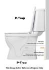 Belmonte P Trap Floor Mounted One Piece Western Toilet Commode Ripone White