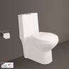 Belmonte Ceramic Syphonic Flushing Floor Mounted Rimless One Piece Western Toilet Retro S Trap 9 Inch White