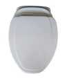 Belmonte Wall Hung Water Closet Cansil With Flush Valve & Soft Close Seat Cover - White