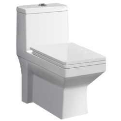 Belmonte One Piece Water Closet Ripone S Trap - White