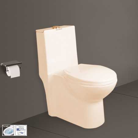 Belmonte Ceramic Floor Mounted Rimless One Piece Western Toilet Retro S Trap 12 Inch Ivory