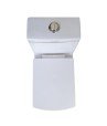 Combo of BM Belmonte Water Closet Square with Vinus Pedestal Wash Basin - White